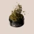 Duoanti-pelliculaire_3_600x600.webp