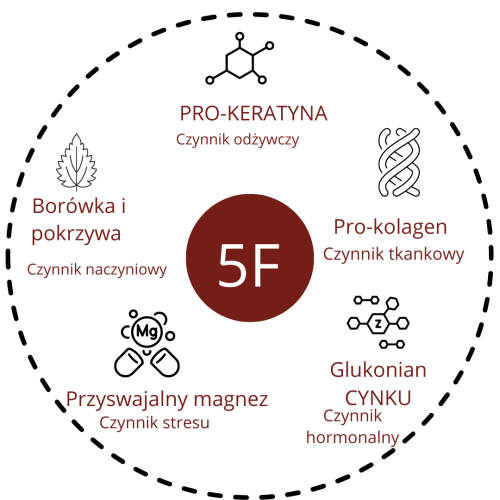Carrousel OENOBIOL x MMM J-1 teasing (Polonais).png