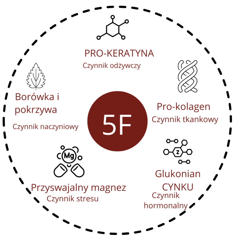 Carrousel OENOBIOL x MMM J-1 teasing (Polonais).png