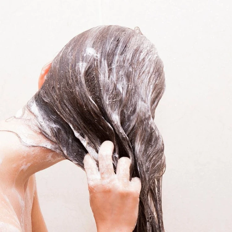 199157662_179654647499205_4248753973585406626_n (1).jpg